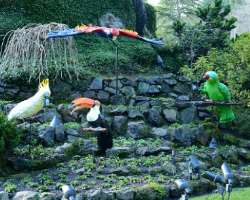 The garden is home to several birds as Mr. Butchart was a big collector of birds while his wife used to collect different plants.